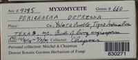 Image Associated With the Occurence